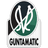 SV Ried