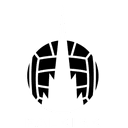Falkirk FC